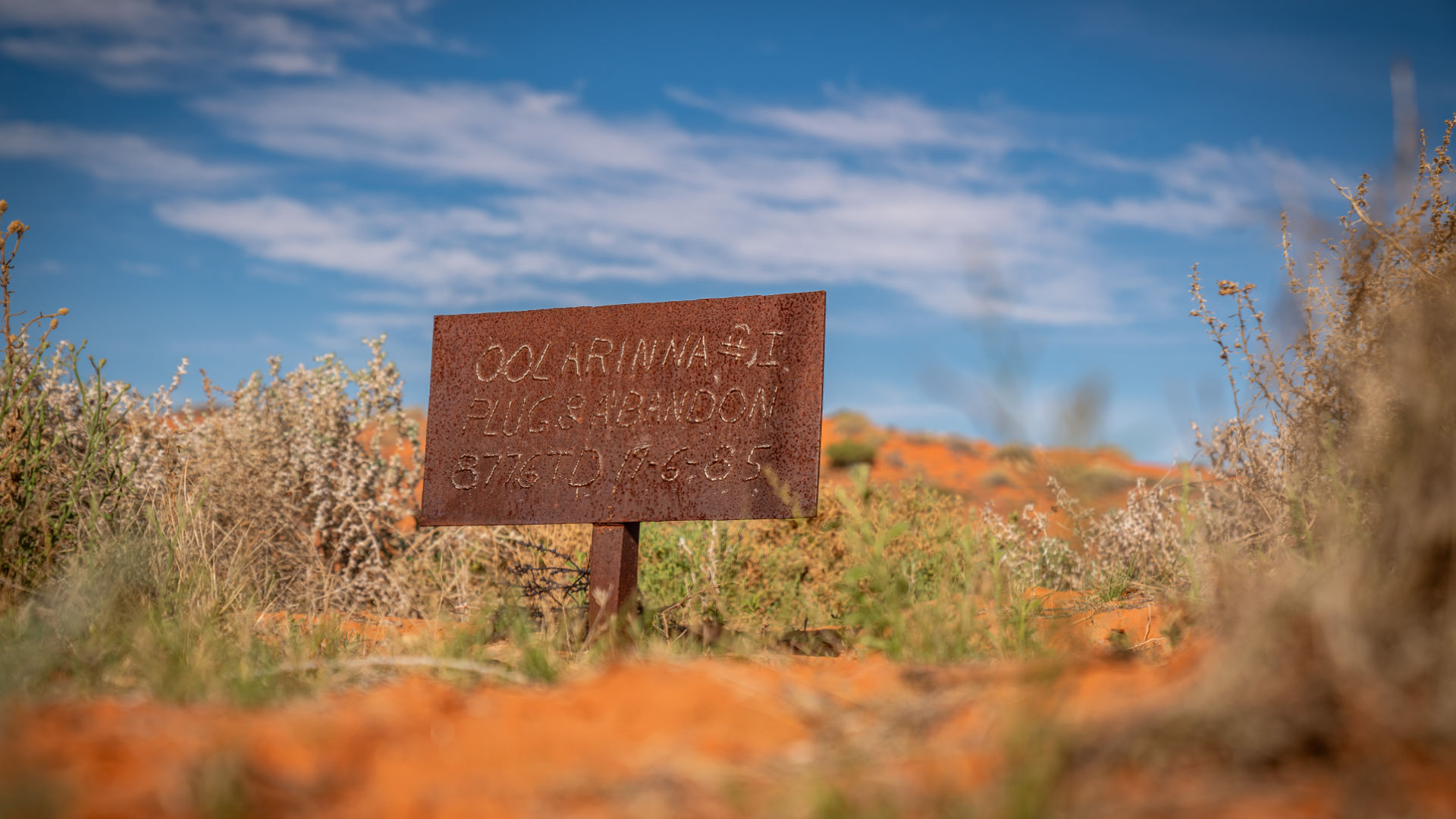 Simpson Desert Serendipity Part 3