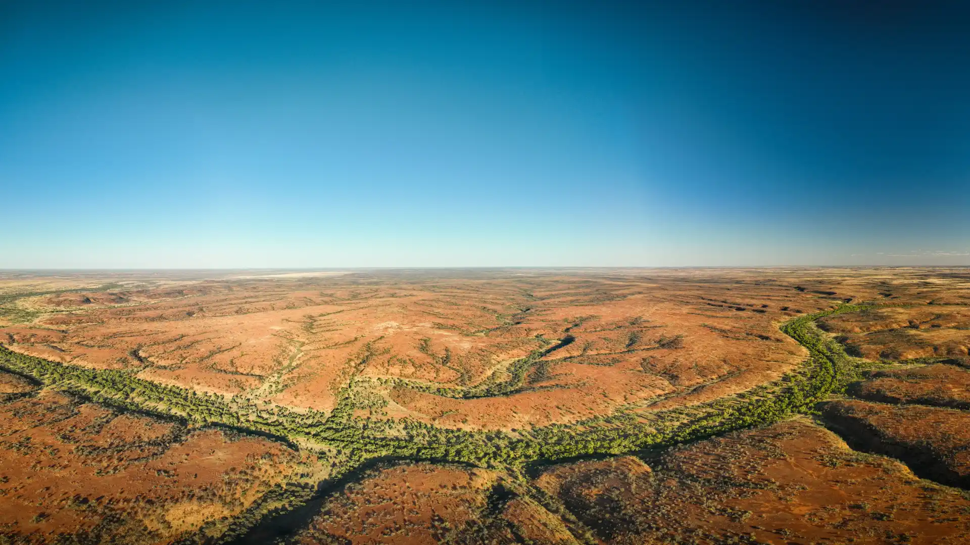 Simpson Desert Fringes — Storm and Camels